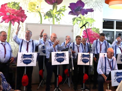 Swinhoven-2025-hey-hoi-